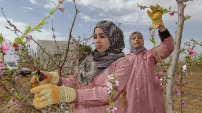 Women pruning fruit trees